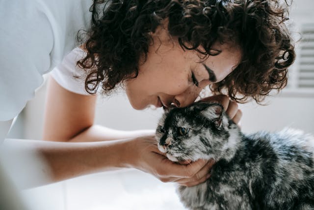 Cat kissed by owner