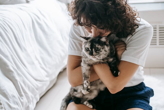 Cat carried by owner